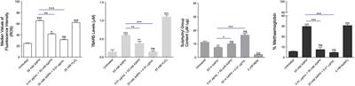 AAPH-induced oxidative damage reduced anion exchanger 1 (SLC4A1/AE1) activity in human red blood cells: protective effect of an anthocyanin-rich extract